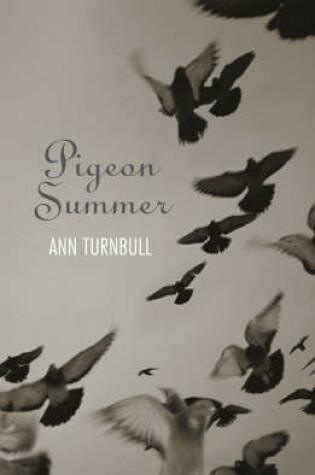 Cover of Pigeon Summer