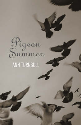 Book cover for Pigeon Summer