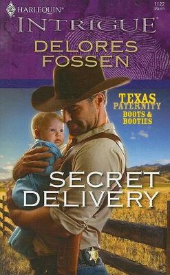 Book cover for Secret Delivery