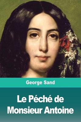 Book cover for Le Péché de Monsieur Antoine