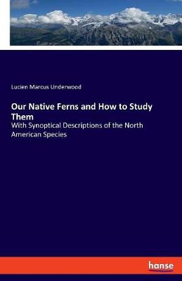 Book cover for Our Native Ferns and How to Study Them