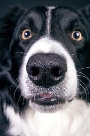 Cover of Surprised Border Collie Journal