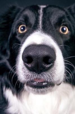 Book cover for Surprised Border Collie Journal