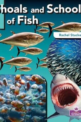 Cover of Shoals and Schools of Fish
