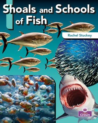 Book cover for Shoals and Schools of Fish