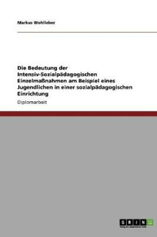 Cover of Die Bedeutung der Intensiv-Sozialpadagogischen Einzelmassnahmen am Beispiel eines Jugendlichen in einer sozialpadagogischen Einrichtung