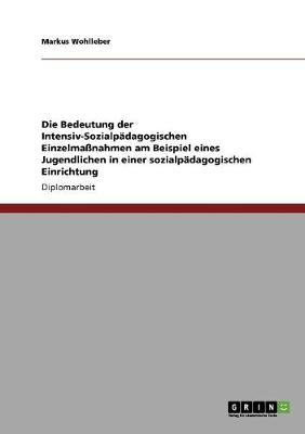 Book cover for Die Bedeutung der Intensiv-Sozialpadagogischen Einzelmassnahmen am Beispiel eines Jugendlichen in einer sozialpadagogischen Einrichtung