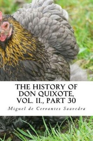 Cover of The History of Don Quixote, Vol. II., Part 30