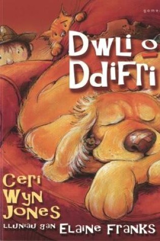 Cover of Dwli o Ddifri