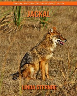Book cover for Jackal