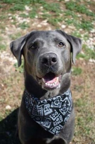 Cover of Happy Lab Mix Dog with a Bandana Journal