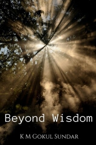 Cover of Beyond Wisdom