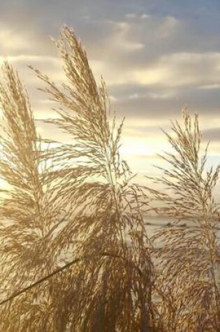 Cover of Japanese Silver Grass at Sunset Journal