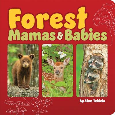 Cover of Forest Mamas and Babies