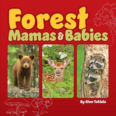 Book cover for Forest Mamas and Babies