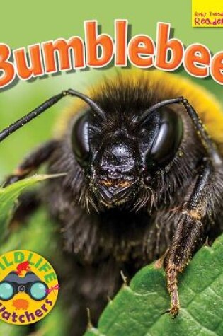 Cover of Wildlife Watchers: Bumblebee