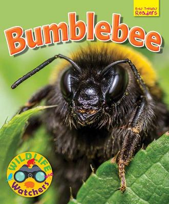 Cover of Wildlife Watchers: Bumblebee