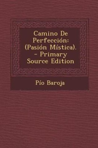 Cover of Camino de Perfeccion