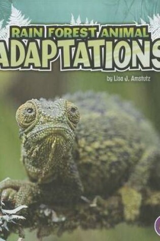 Cover of Rain Forest Animal Adaptations