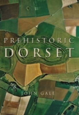 Book cover for Prehistoric Dorset