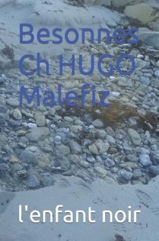 Cover of Besonnes Ch HUGO Malefiz