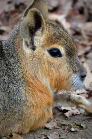 Cover of Patagonian Mara Hare Profile, for the Love of Animals