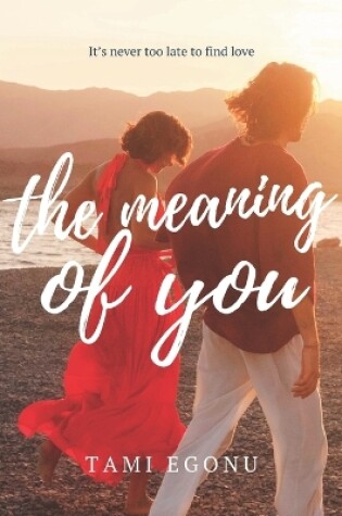 Cover of The Meaning of You