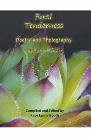 Cover of Feral Tenderness