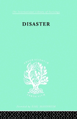 Book cover for Disaster