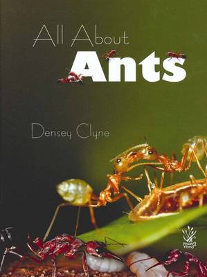 Book cover for All About Ants