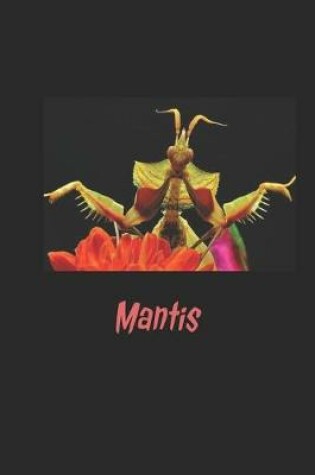 Cover of Preying mantis journal / diary