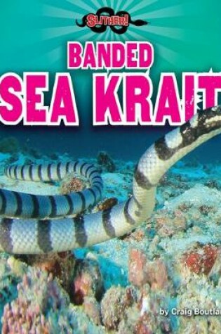 Cover of Banded Sea Krait