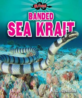 Book cover for Banded Sea Krait