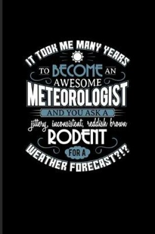Cover of It Took Me Many Years To Become An Awesome Meteorologist...