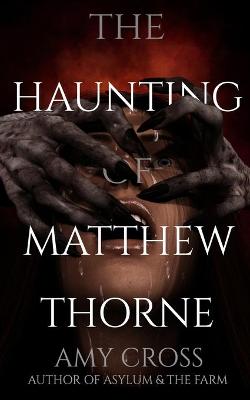Book cover for The Haunting of Matthew Thorne