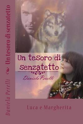 Cover of Un Tesoro Di Senzatetto