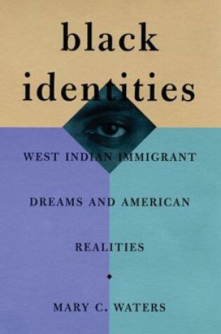 Cover of Black Identities