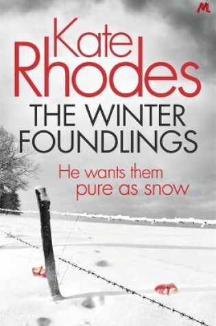 Cover of The Winter Foundlings