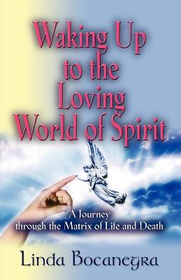 Cover of Waking Up to the Loving World of Spirit