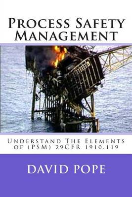 Book cover for Process Safety Management