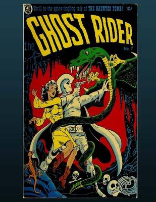 Book cover for The Ghost Rider