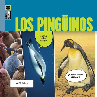 Book cover for Los Pingüinos