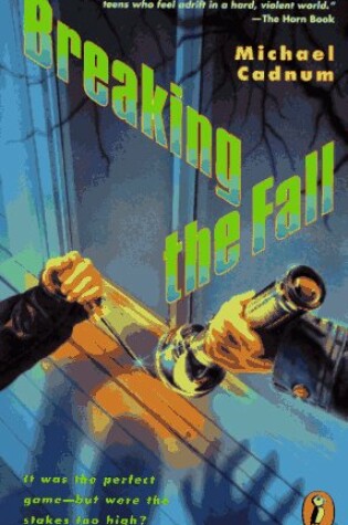 Cover of Breaking the Fall