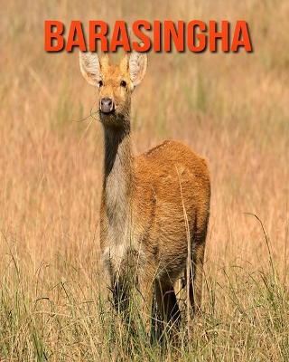 Book cover for Barasingha