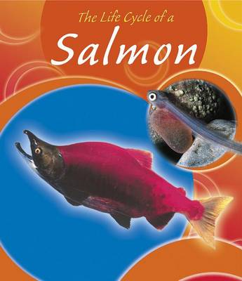 Book cover for The Life Cycle of a Salmon
