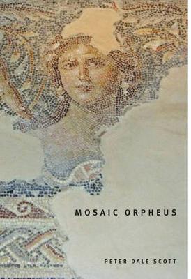 Book cover for Mosaic Orpheus