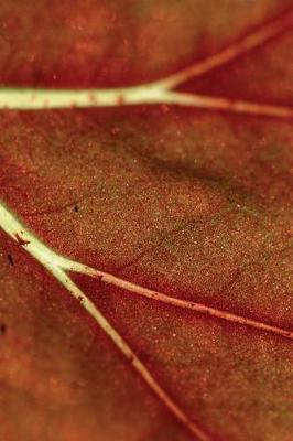 Cover of Autumn Leaf Veins Journal