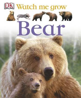 Book cover for Bear