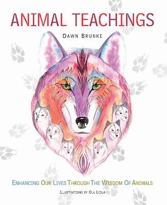 Book cover for Animal Teachings