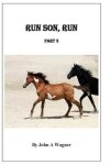 Book cover for Run Son, Run Part 3